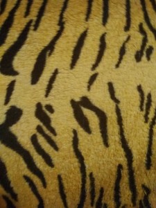 Создать мем: шкура тигра текстура, текстура кожи тигра, мех тигра принт