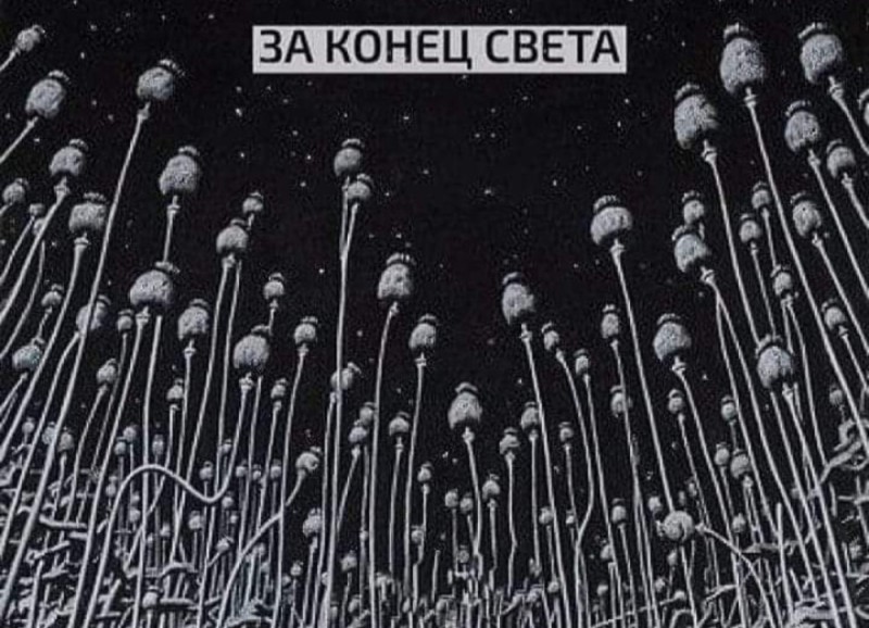 Создать мем: цветы макросъемка, русский сон гагарин с другой стороны, в космос