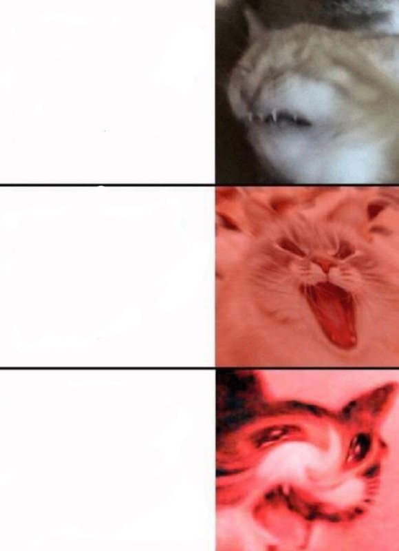 Create meme: Mammy cat, memes , memes 
