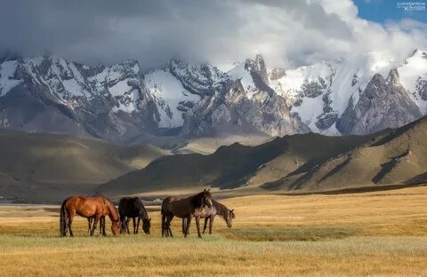 Создать мем: казахстан природа, горы панорама кыргызия, кыргызстан красивые