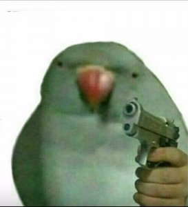 Create meme: Animal, a parrot with a gun meme