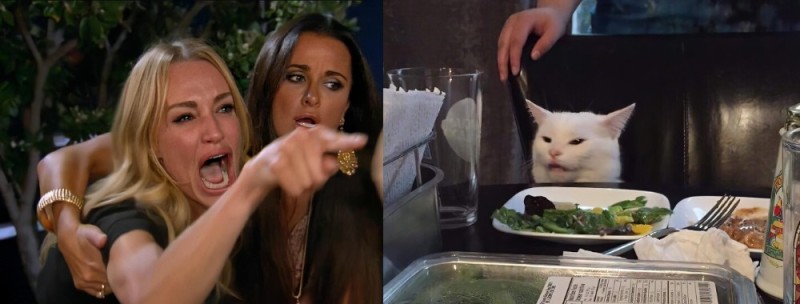 Создать мем: женщина кошка мем, мем с котом за столом, мем с котом и девушками за столом