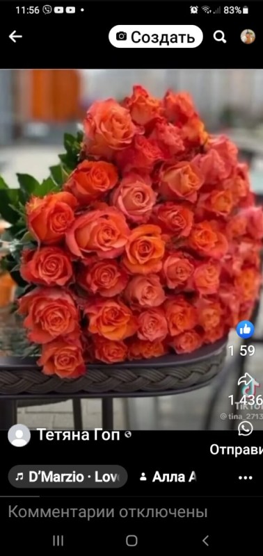 Создать мем: 101 оранжевая роза "вау", пионовидная роза оранжевая, роза оранж пэшн