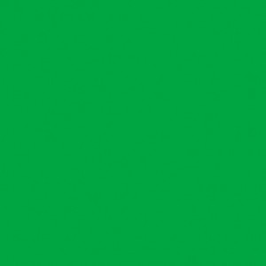 Создать мем: зелёный фон однотонный неоновый, насыщенный зеленый цвет, зеленый однотонный