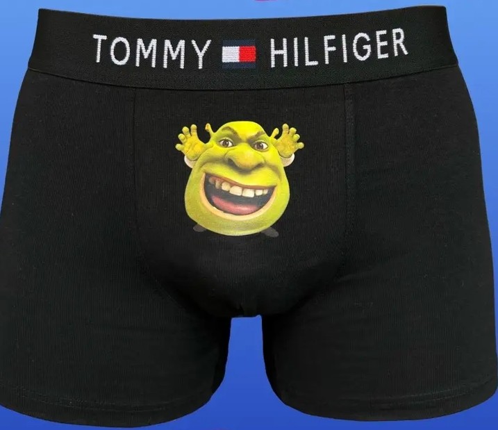 Create meme: Shrek , underpants with shrek, Shrek meme 