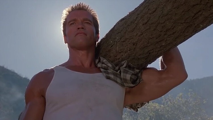 Create meme: Schwarzenegger with a log , schwarzenegger with a log on his shoulder, commando schwarzenegger with a log