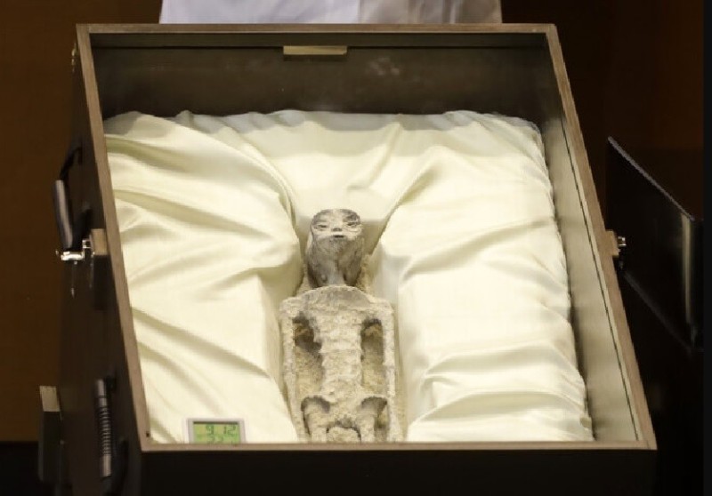 Create meme: a body in a coffin, figure, the egyptian mummy
