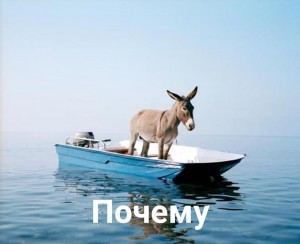 Создать мем: животные забавные, в лодке, осел
