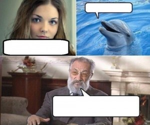 Create meme: Dolphin funny, so the dolphins once again, once again the dolphins proved