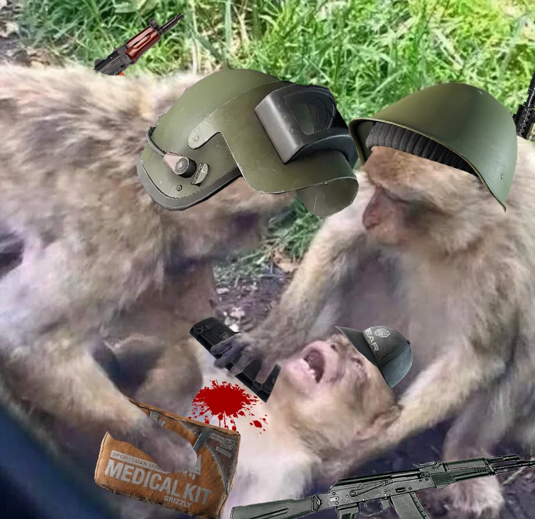 Create meme: monkeys together, let me die in peace monkey meme, monkeys with power