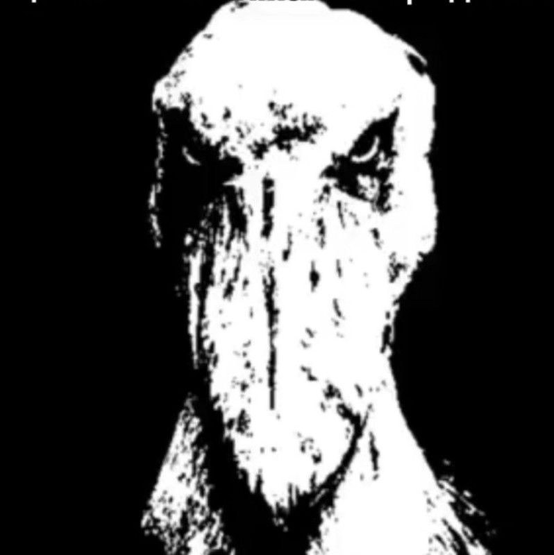 Create meme: pelican drive, scp-087, darkness