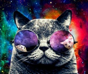 Create meme: space cat