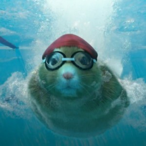 Create meme: the hamster of the sea, the hamster swims