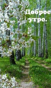 Create meme: postcards spring, good morning spring
