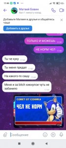 Создать мем: совет от соника никакой совет, соник, совет от соника мем