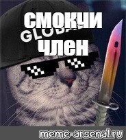 Create meme: cat cs go, cool cats