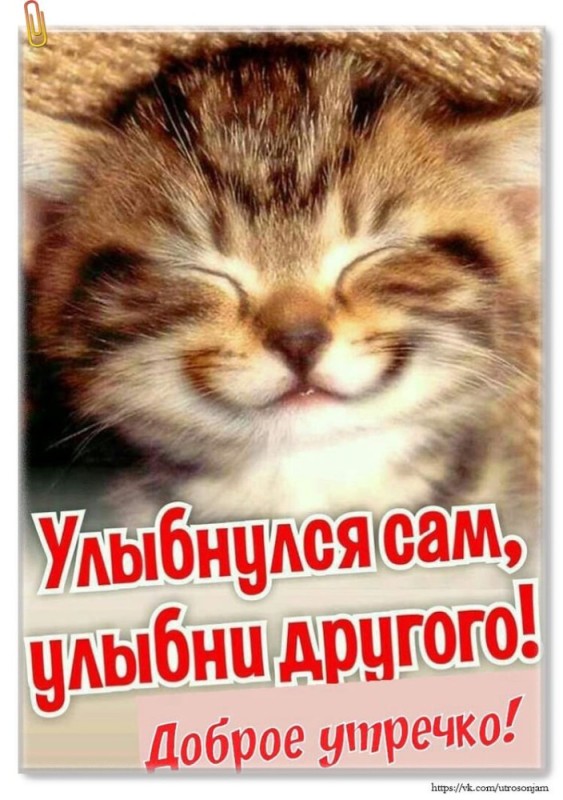 Create meme: Good morning smiled yourself smile at the other, smiled yourself smile at the other, smiling cat postcards