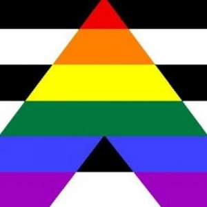 Создать мем: straight, lgbt, pride flag
