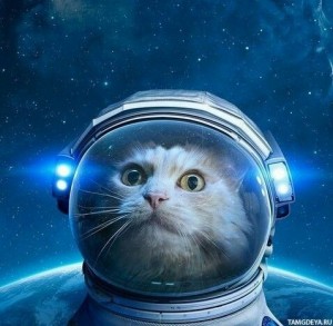 Create meme: space cat, the cat in the suit on the background of the cosmos, cat in a spacesuit