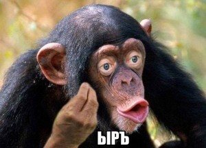Create meme: monkey , chimp lips, monkey with lips