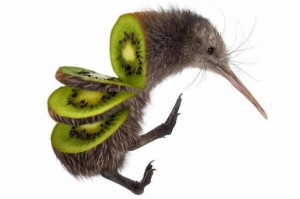 Create meme: kiwi eat kiwi fruit, the kiwi