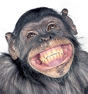 Создать мем: говорящие обезьяны, веселая обезьяна, зубы обезьяны