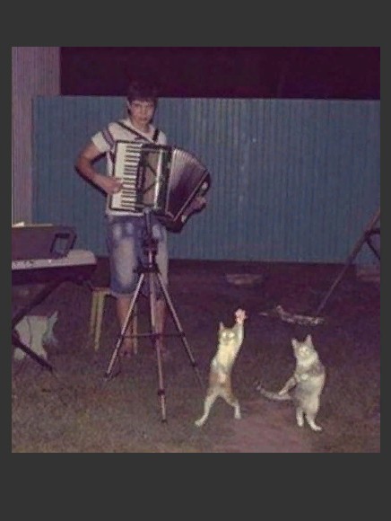 Create meme: concert for a cat with an orchestra, Yegor Letov , If your party doesn't even look like this one