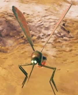 Create meme: empire of ants game, praying mantis insect, animals insects