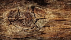 Создать мем: old wood texture, background wood, фон срез дерева