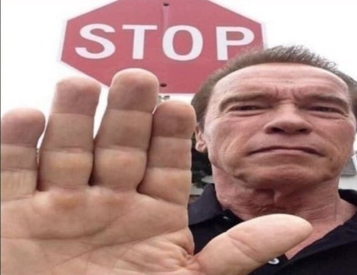 Create meme: Arnold Schwarzenegger stop, arnold schwarzenegger look a like, arnold schwarzenegger stop the meme