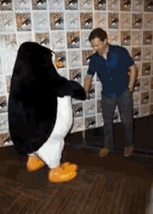 Create meme: penguin from Madagascar