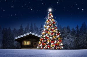 Create meme: Christmas tree, beautiful Christmas tree, new year's eve