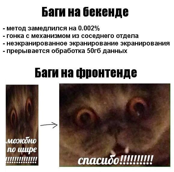 Create meme: jokes and memes, memes with cats , top memes 