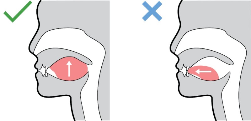 Create meme: illustration, the process of swallowing, the correct position of the tongue