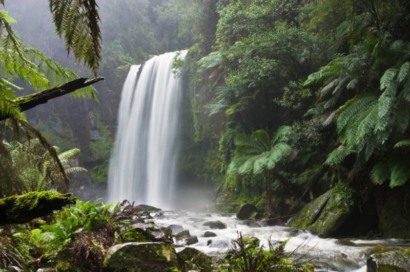 Create meme: jungle waterfall, mountain waterfall, forest waterfall