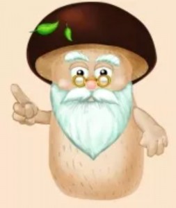 Создать мем: боровичок существо, сказочных грибов с бородой, старичок боровичок