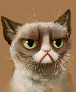 Создать мем: хмурый, грустно, grumpy cat