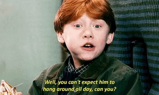 Create meme: Harry potter ron, Harry Potter and the philosopher's stone , harry potter ron weasley