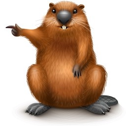 Create meme: beaver, beaver