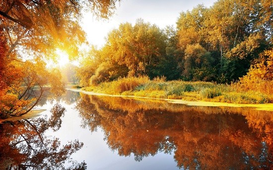 Create meme: autumn nature, nature in autumn, autumn landscape