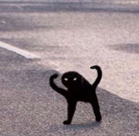 Создать мем: кошка ъуъ, мем чёрный кот, кот ъуъ оригинал