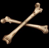 Create meme: fresh bones, human bone, dice on white background
