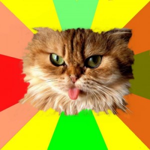 Create meme: cats, red cat, Sunny cat