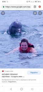 Создать мем: купание с дельфинами, плавание с дельфинами, дельфин смешной