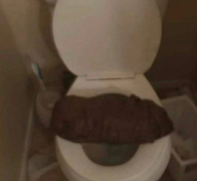 Create meme: toilet toilet bowl, vomit, the toilet is dirty