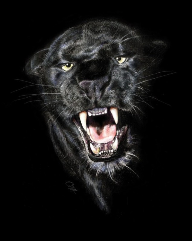 Create meme: black jaguar, panther grin, black jaguar grin