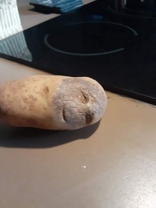 Создать мем: картошка и человеческое лицо мем, Мелкий предмет, картофель