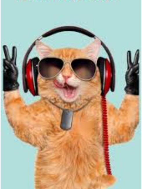 Create meme: singing cat , cat , cat with headphones