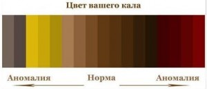 Создать мем: бурый цвет, темно бурый цвет, коричневый цвет