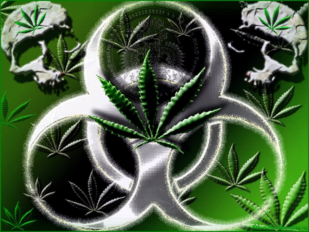 Аватарки с марихуаной не ищет в браузере тор hidra